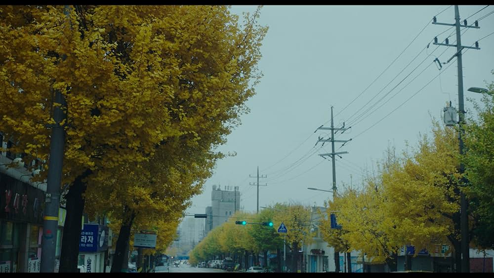 ユ・ヨルの音楽アルバムの画像