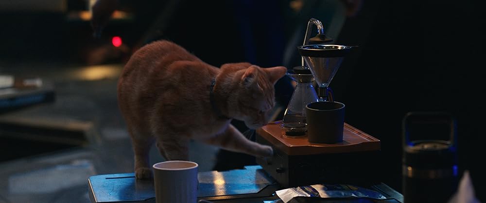 マーベルズの画像