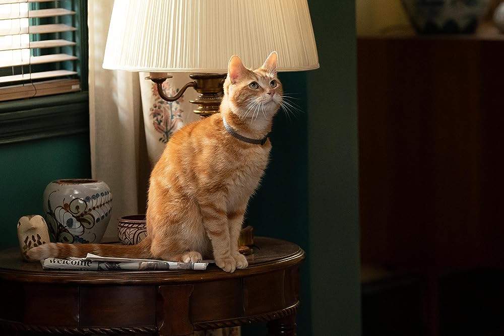 マーベルズの画像