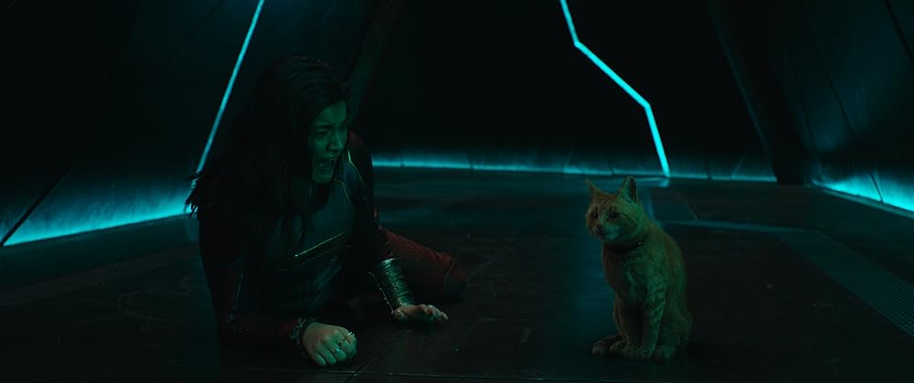 マーベルズの画像