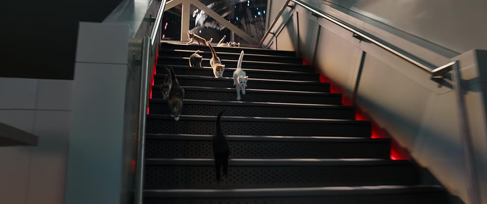 マーベルズの画像