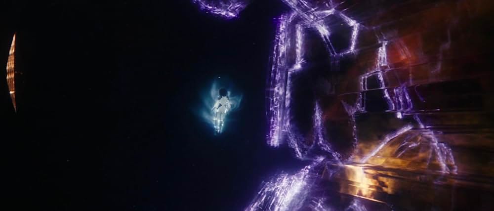 マーベルズの画像