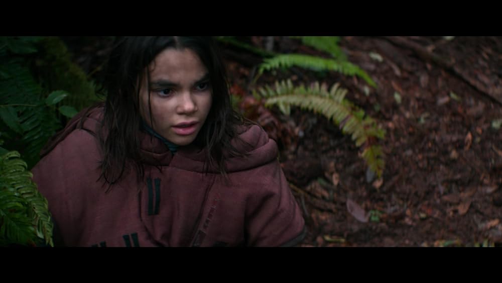 65／シックスティ・ファイブの画像