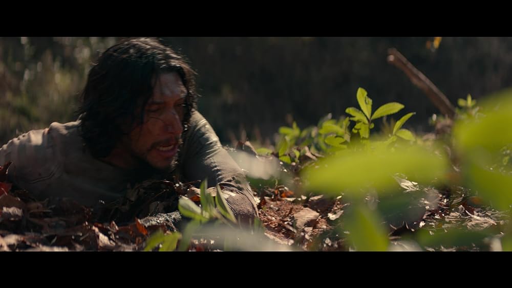 65／シックスティ・ファイブの画像