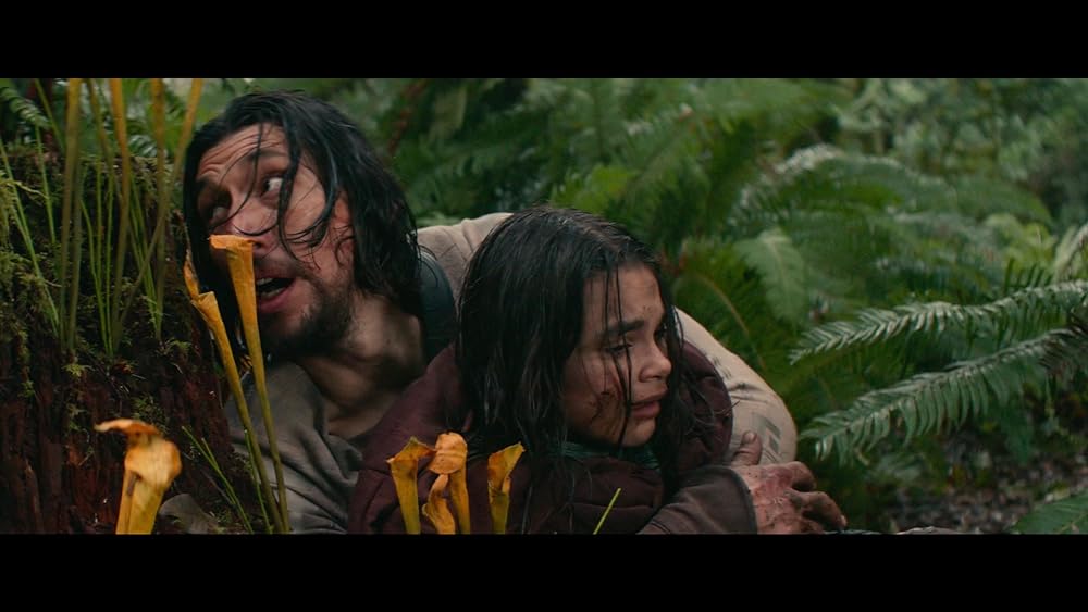 65／シックスティ・ファイブの画像