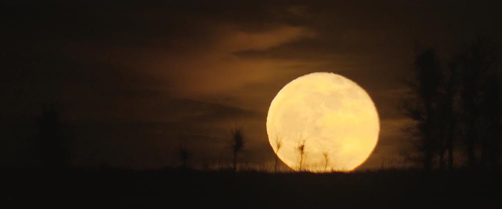 キラーズ・オブ・ザ・フラワームーンの画像