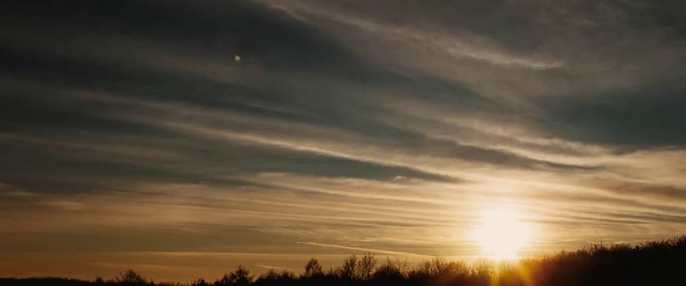 キラーズ・オブ・ザ・フラワームーンの画像