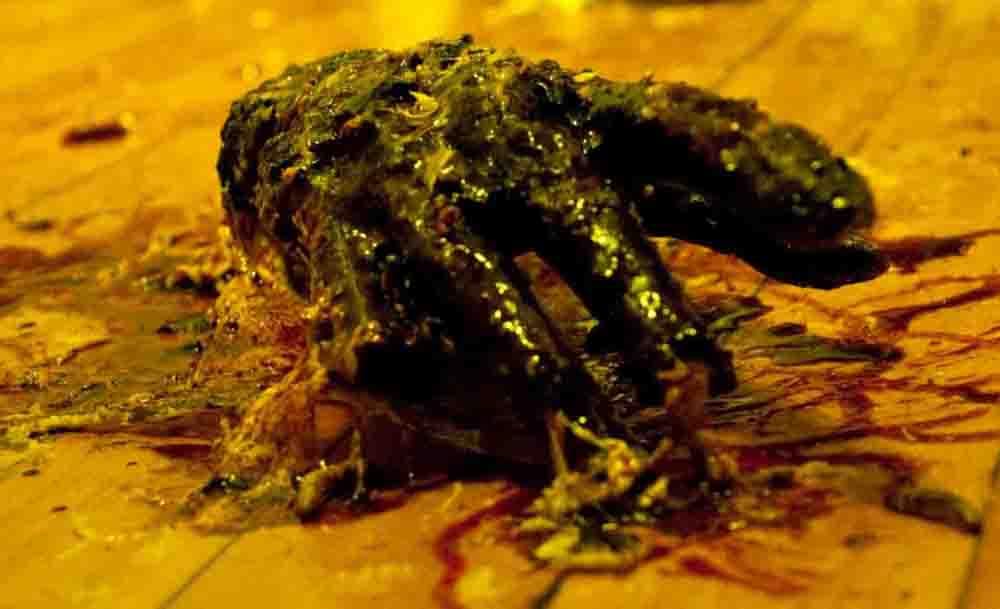 Thanatomorphose（原題）の画像