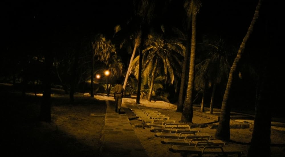 パラダイス 愛の画像