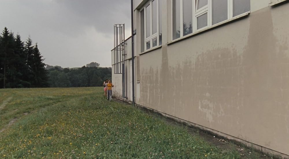 パラダイス 希望の画像