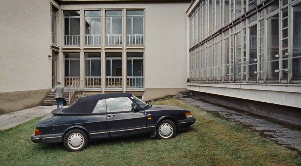 パラダイス 希望の画像