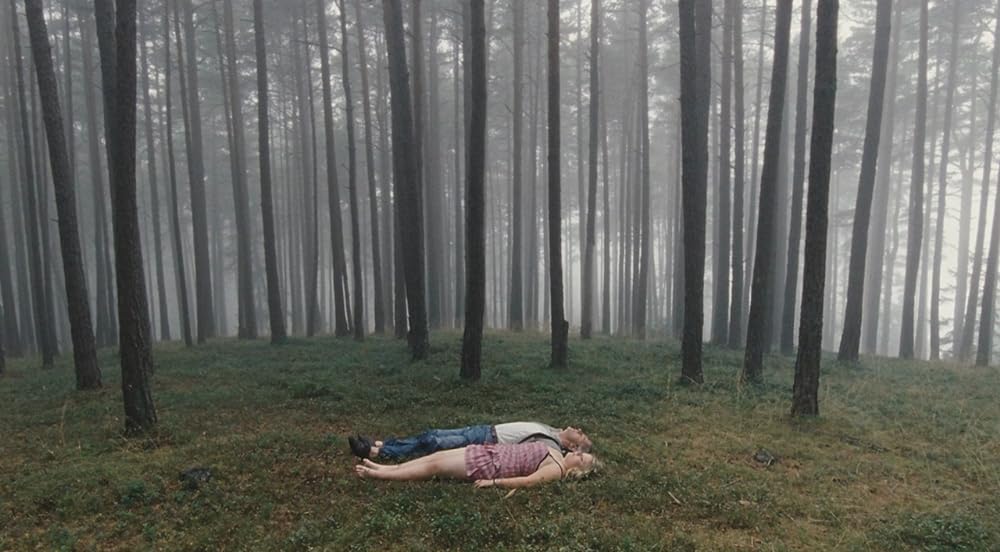 パラダイス 希望の画像