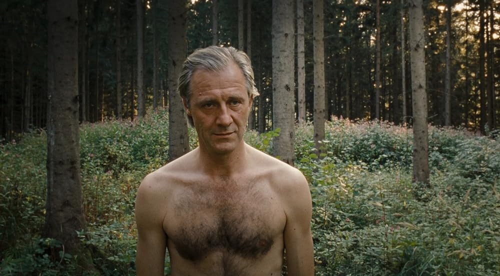 パラダイス 希望の画像