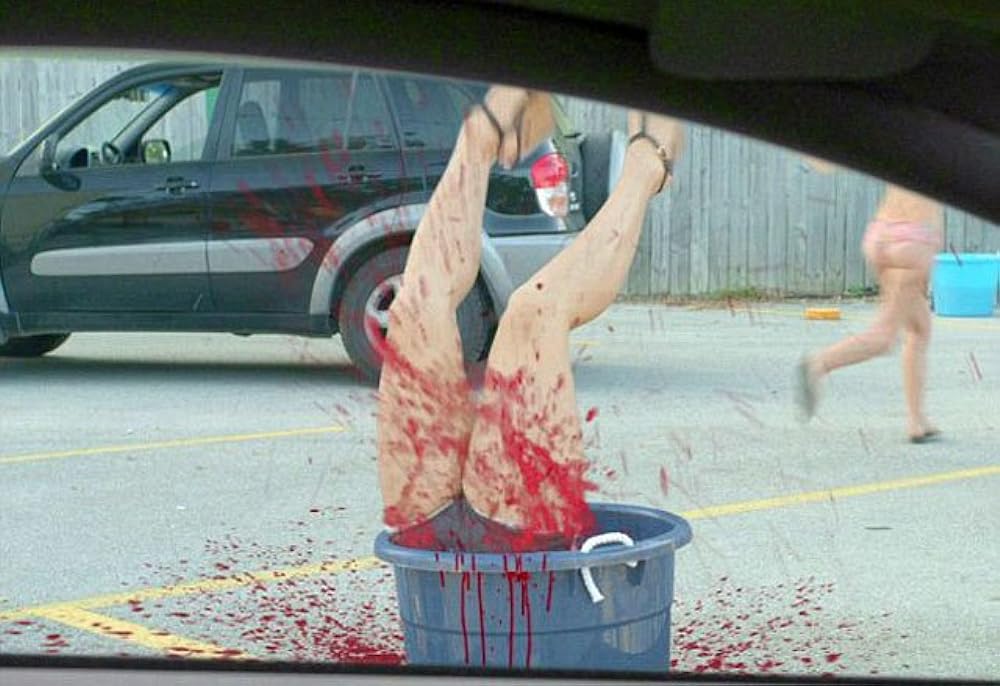 ゴースト・シャークの画像