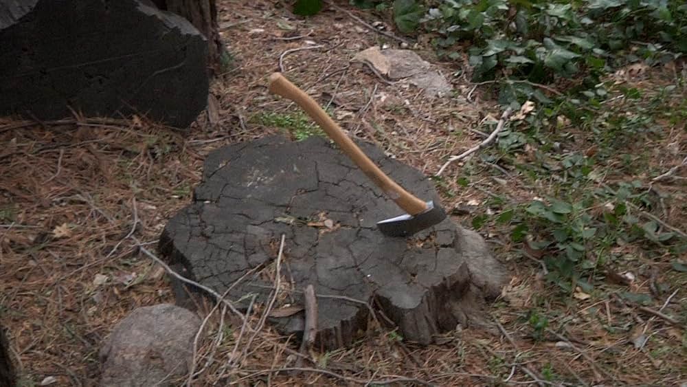 クリープの画像