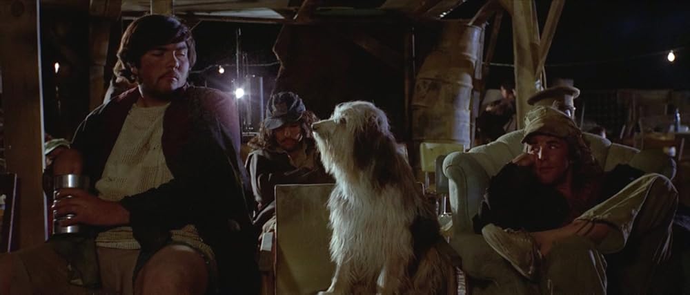 「少年と犬」ドン・ジョンソンの画像