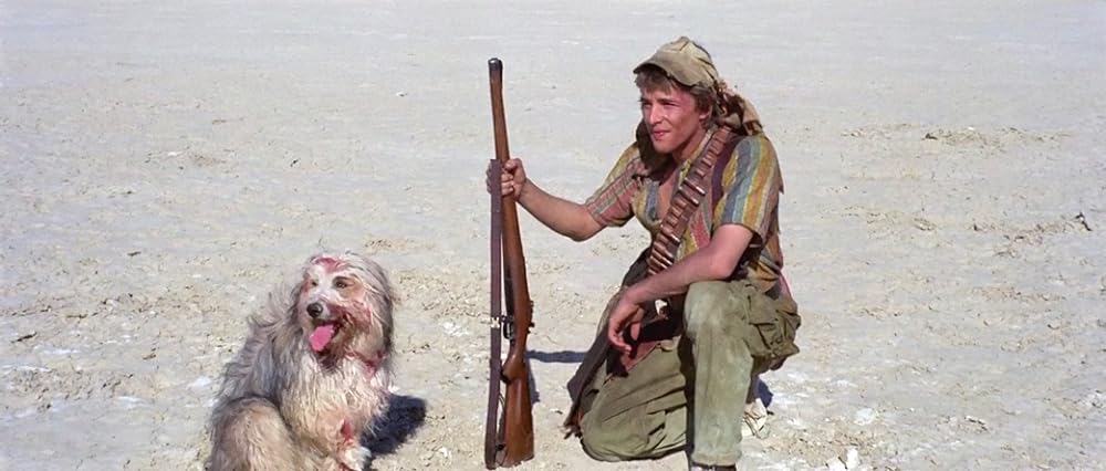 少年と犬の画像