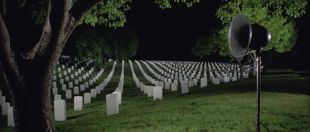 少年と犬の画像