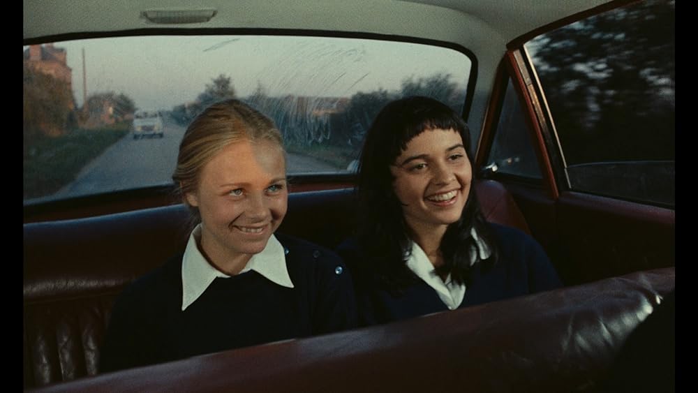 小さな悪の華の画像