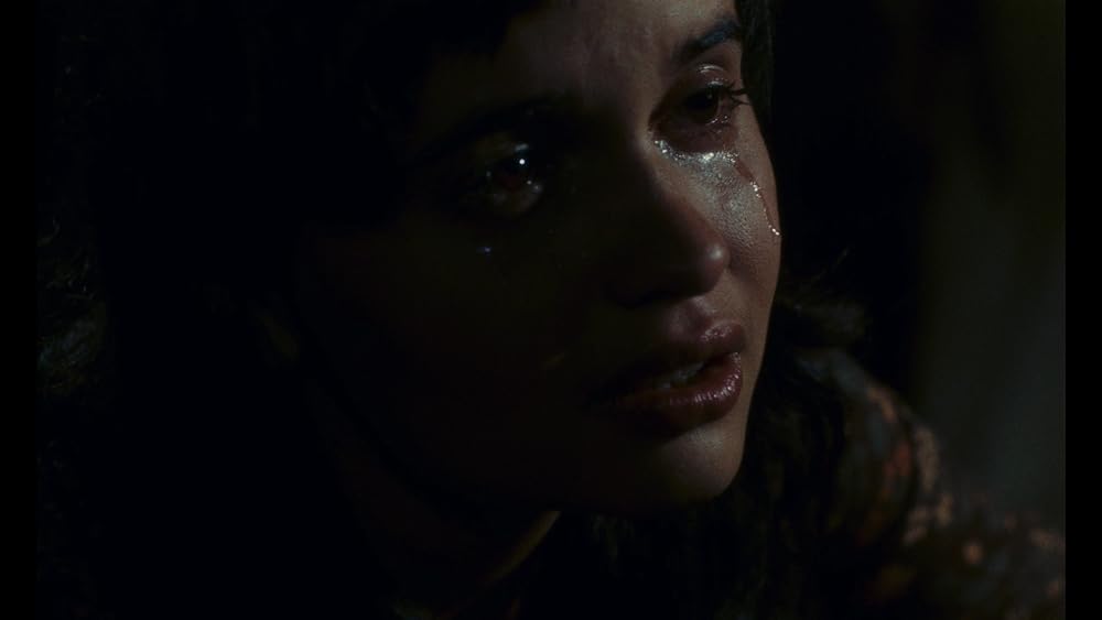 小さな悪の華の画像