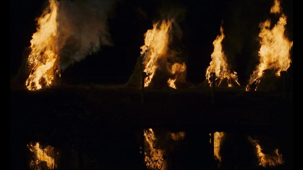 小さな悪の華の画像