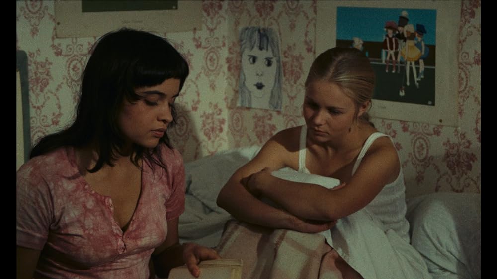 小さな悪の華の画像