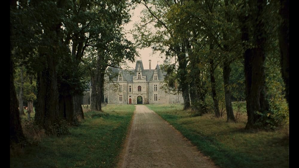 小さな悪の華の画像