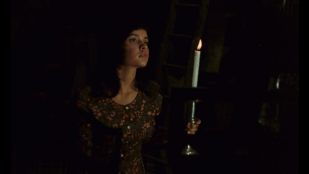 小さな悪の華の画像