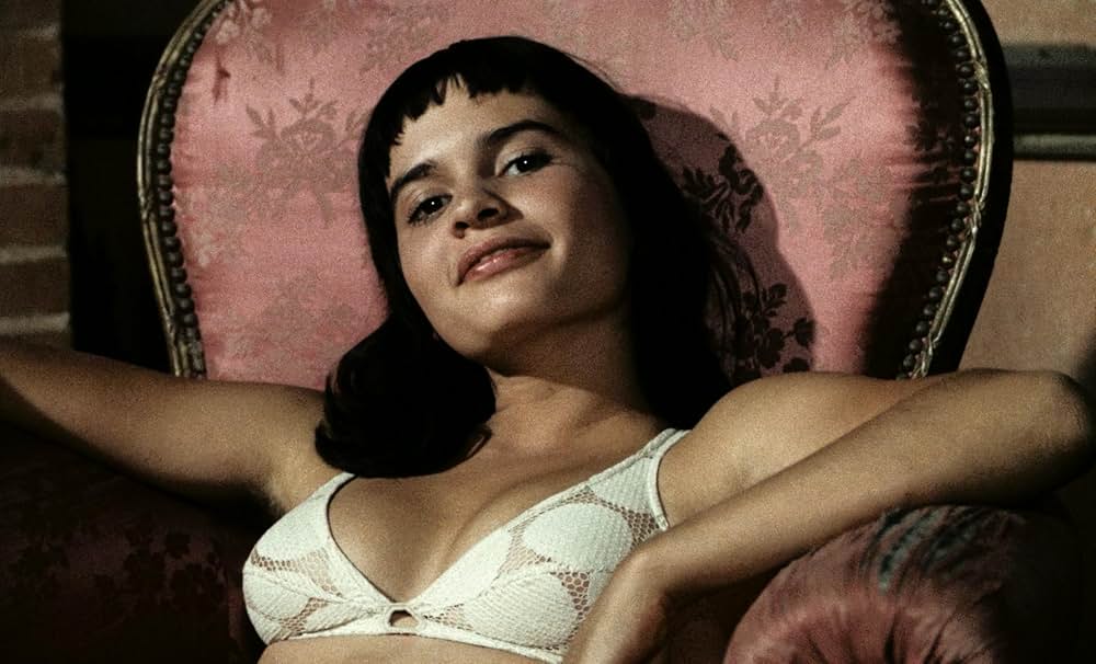 小さな悪の華の画像