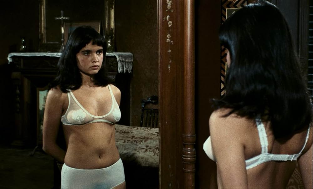 小さな悪の華の画像