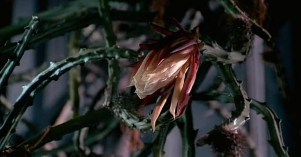 マッチ工場の少女の画像