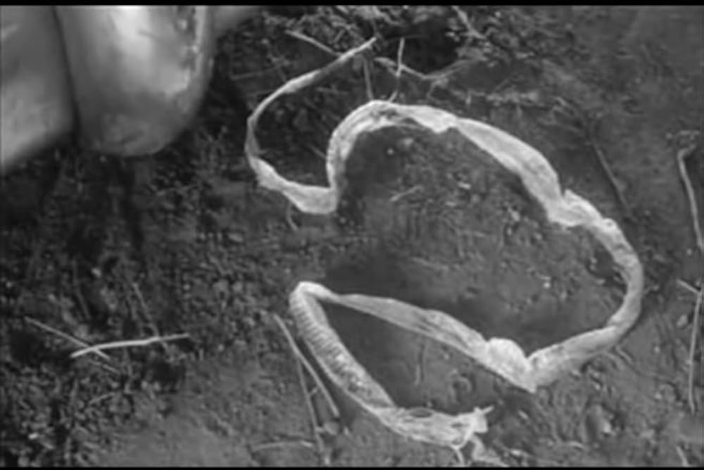 サディストの画像