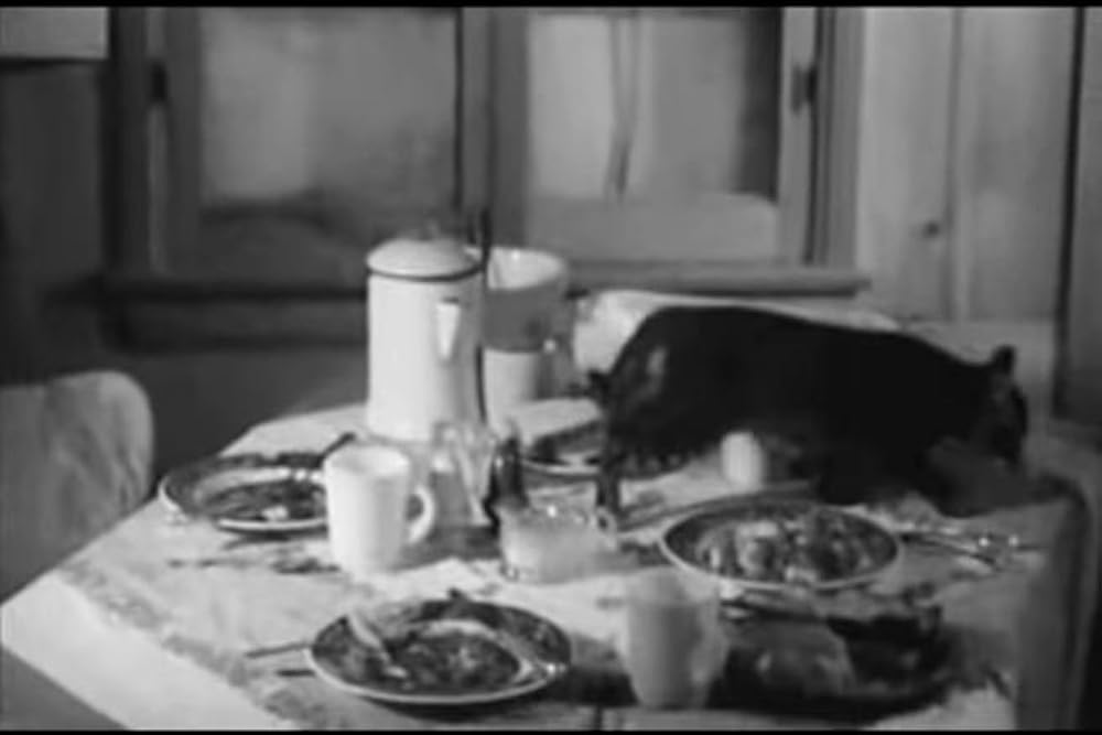 サディストの画像