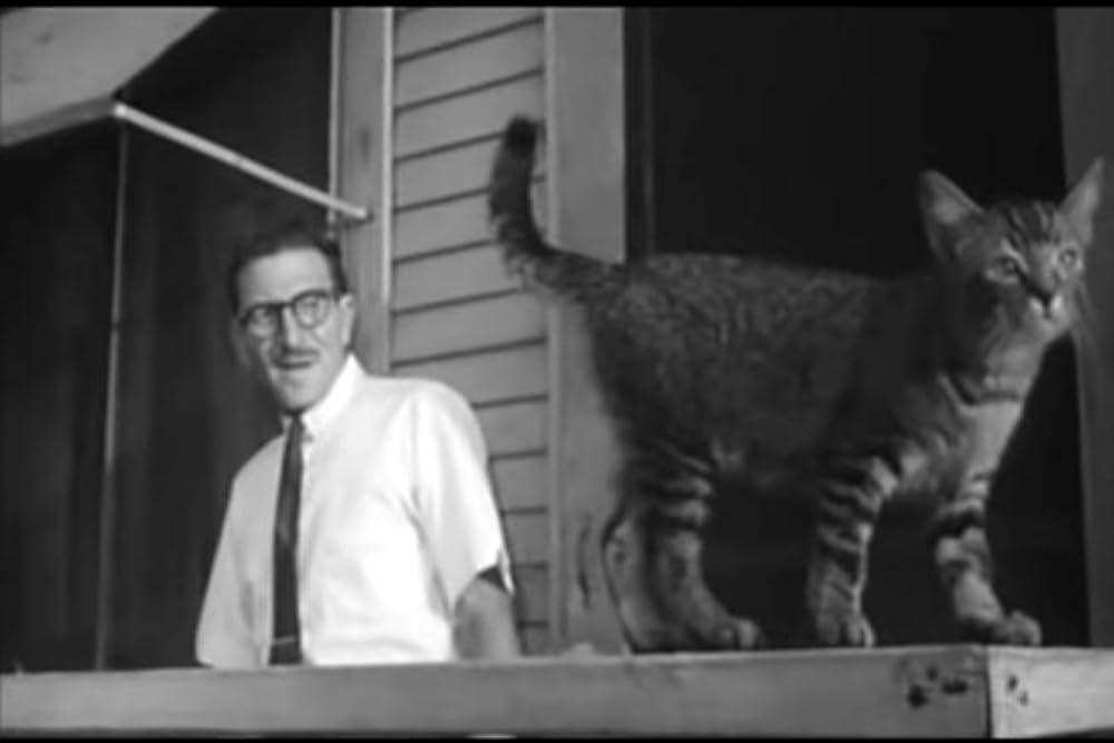 サディストの画像