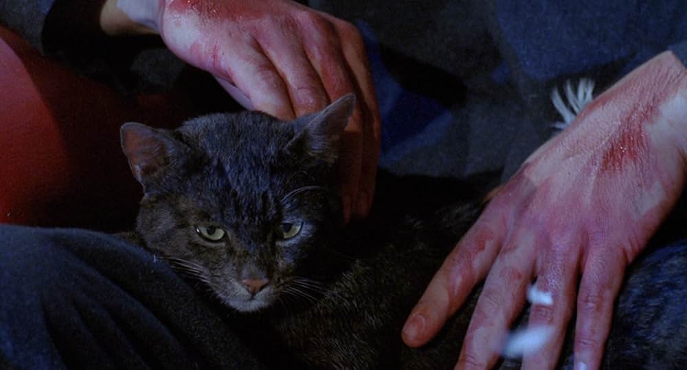 アクエリアスの画像