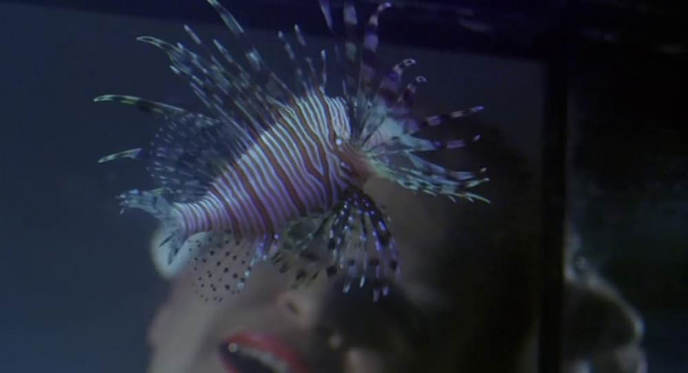 アクエリアスの画像