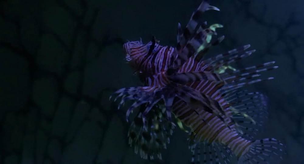 アクエリアスの画像