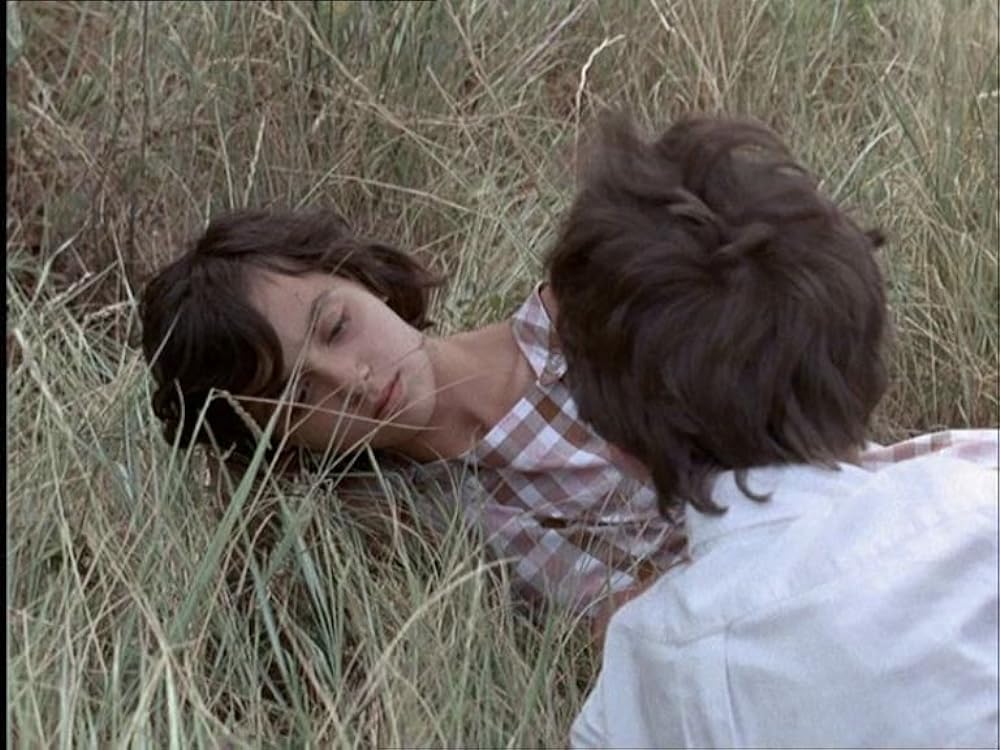 ぼくの小さな恋人たちの画像