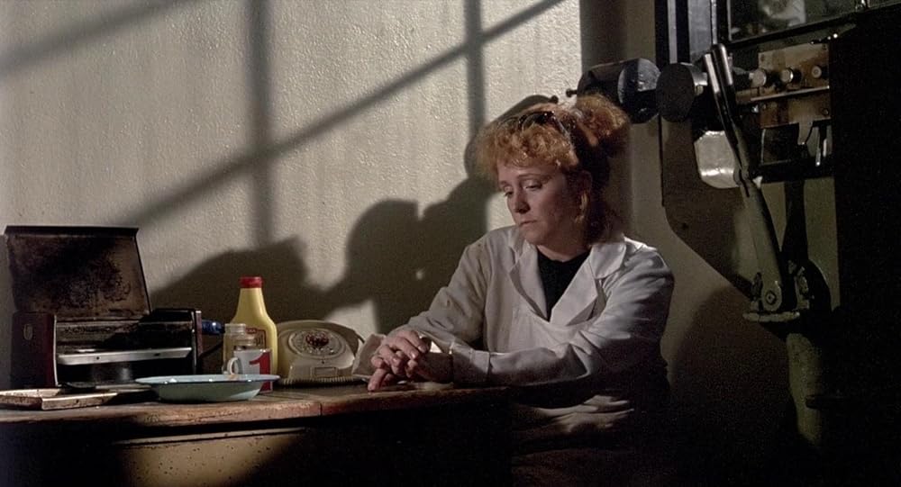 真夜中の虹の画像