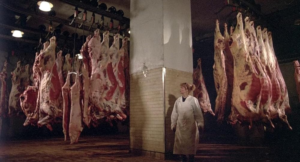 真夜中の虹の画像