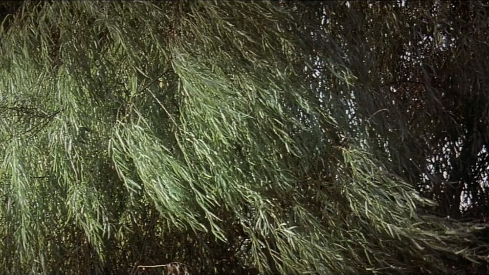 甘い人生の画像