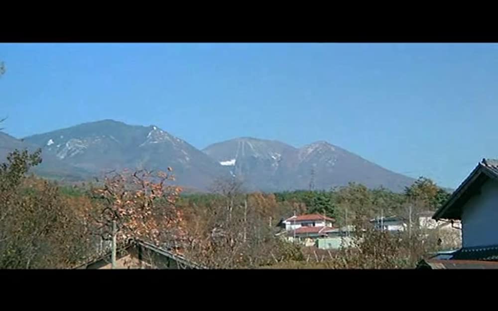 男はつらいよ 寅次郎サラダ記念日の画像