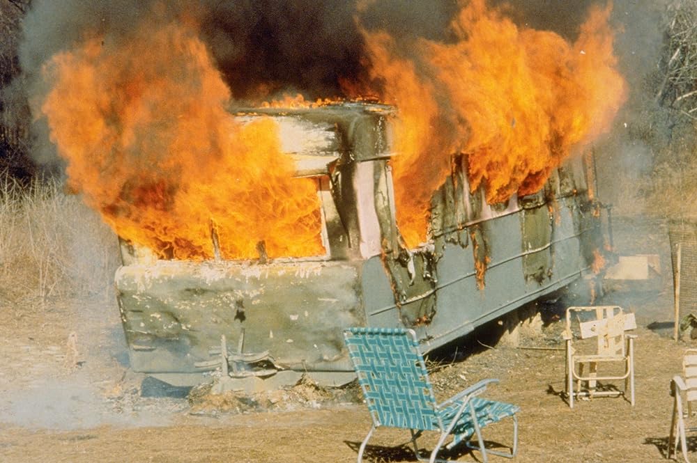 ピンク・フラミンゴの画像