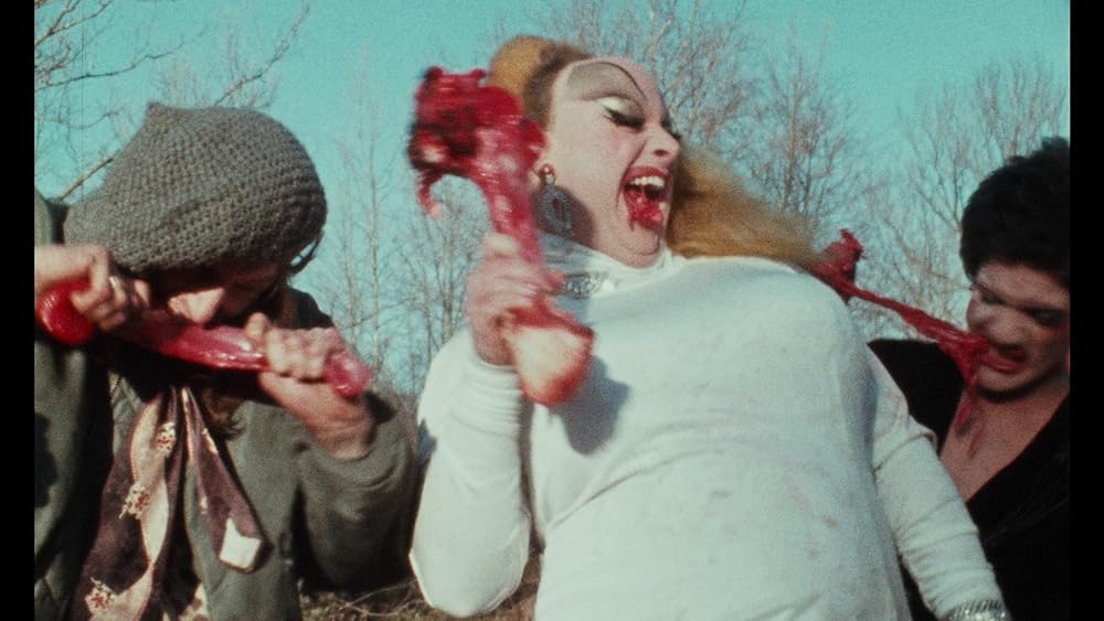 ピンク・フラミンゴの画像