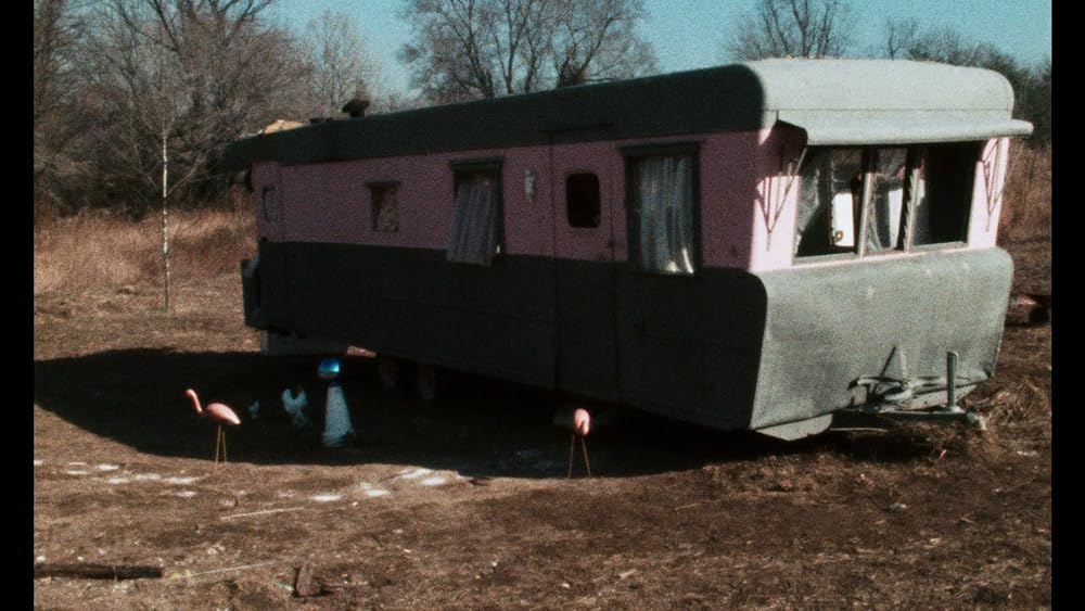 ピンク・フラミンゴの画像