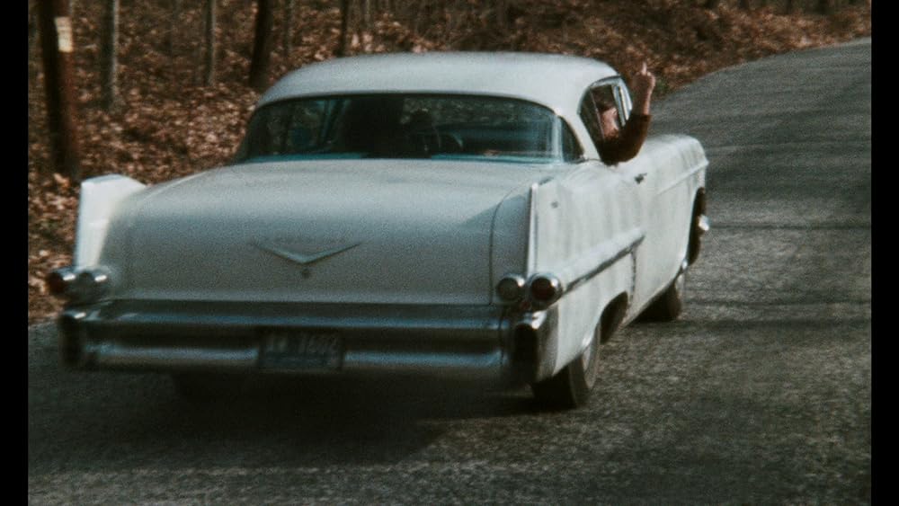 ピンク・フラミンゴの画像