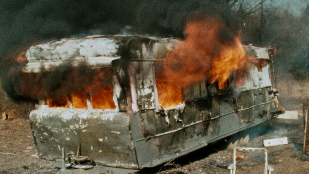 ピンク・フラミンゴの画像