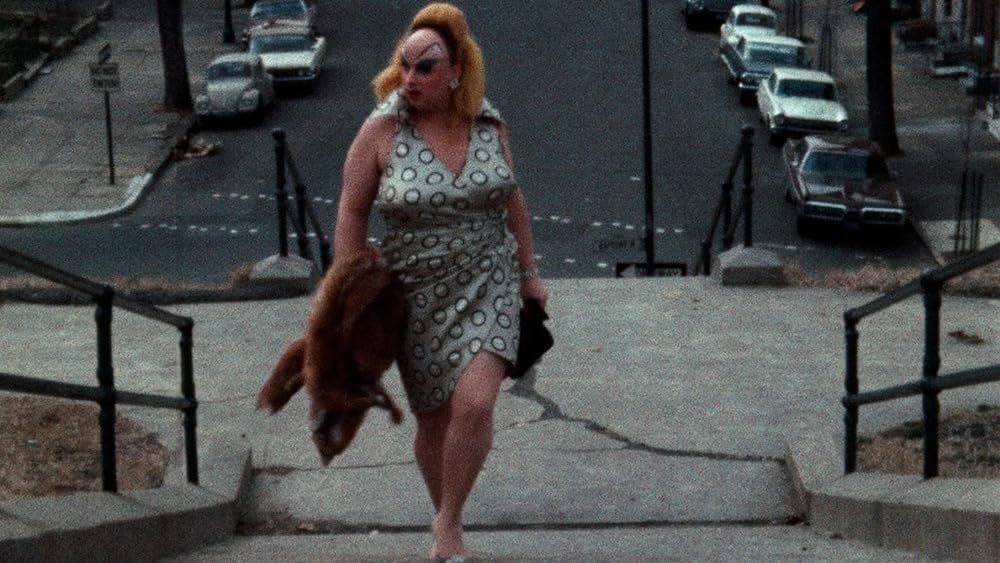 ピンク・フラミンゴの画像