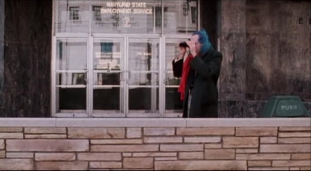 ピンク・フラミンゴの画像