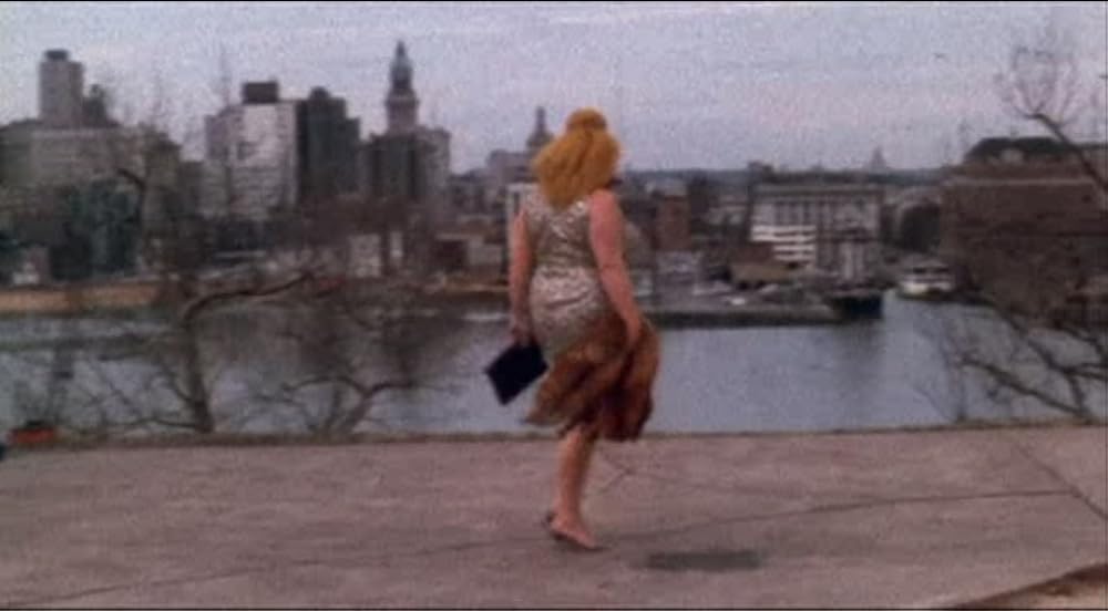 ピンク・フラミンゴの画像